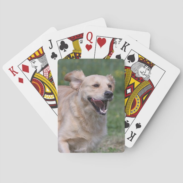 Golden Retriever Running 1 Playing Cards (Back)
