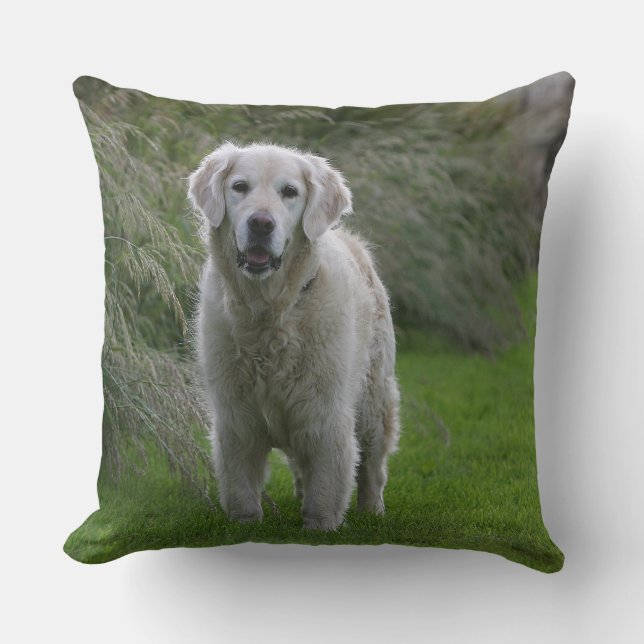 Golden Retriever Running 2 Cushion (Front)