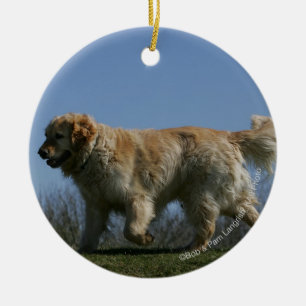 Golden Retriever Running 3 Ceramic Tree Decoration