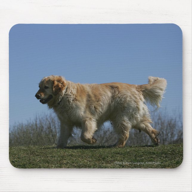 Golden Retriever Running 3 Mouse Mat (Front)