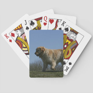 Golden Retriever Running 3 Playing Cards