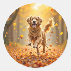 Golden Retriever Running In Autumn Woods Classic Round Sticker