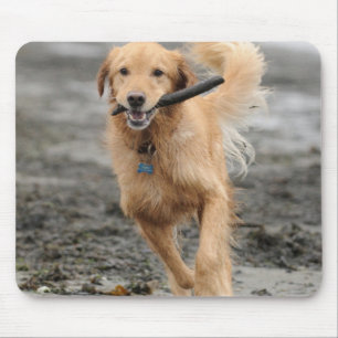 Golden Retriever Running With  Stick In Mouth Mouse Mat