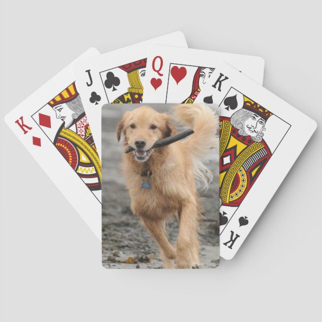 Golden Retriever Running With  Stick In Mouth Playing Cards (Back)