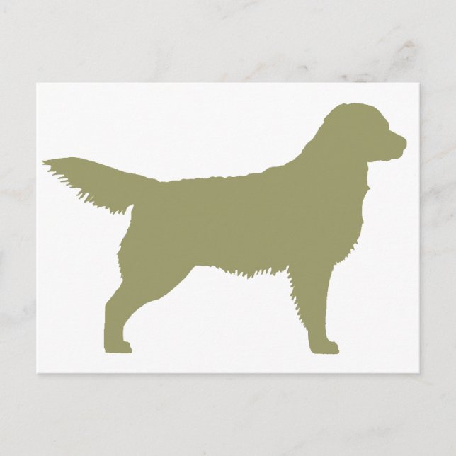 Golden Retriever (sage green) Postcard (Front)