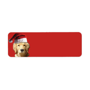 Golden Retriever Santa Claus