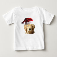 Golden Retriever Santa Claus