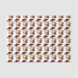 Golden Retriever Santa Claus Hat Tissue Paper