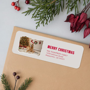 Golden Retriever Santa Hat Dog Photo Christmas