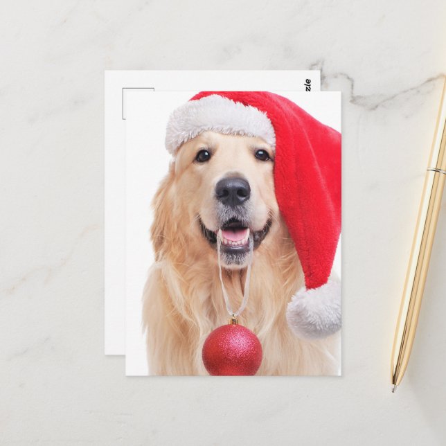 Golden Retriever Santa Hat Postcard (Front/Back In Situ)
