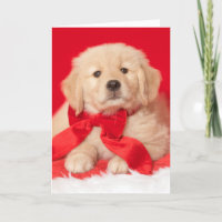Golden Retriever Seasons Gurr-eetings Puppy