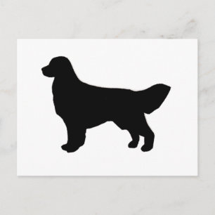 golden retriever silhouette postcard