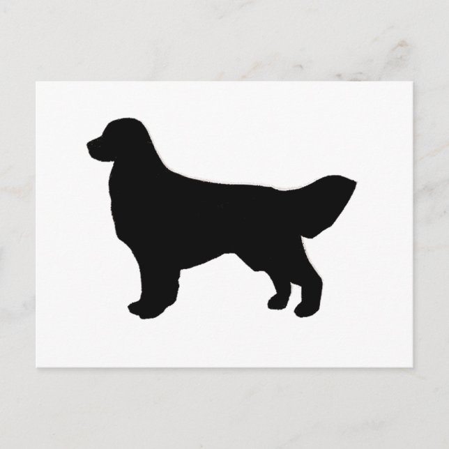 golden retriever silhouette postcard (Front)