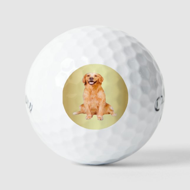Golden Retriever Sitting - Adorable Design Golf Balls (Front)