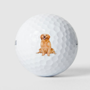 Golden Retriever Sitting - Adorable Design Golf Balls