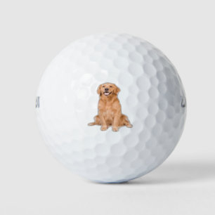 Golden Retriever Sitting - Adorable Design Golf Balls