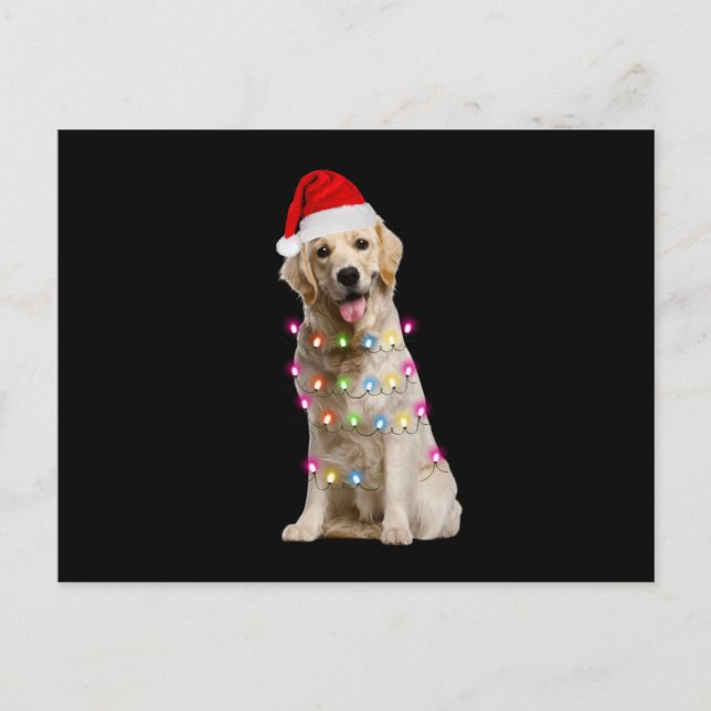 golden retriever sitting with christmas postcard (Front)