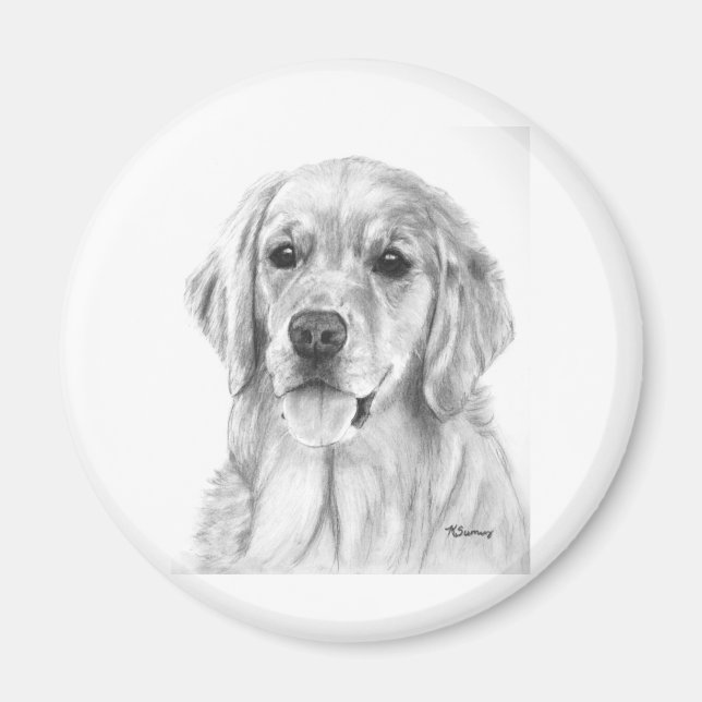 Golden Retriever Sketch Magnet (Front)