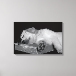 golden retriever sleeping on old book canvas print