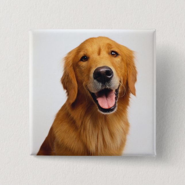 Golden Retriever Smile 15 Cm Square Badge (Front)