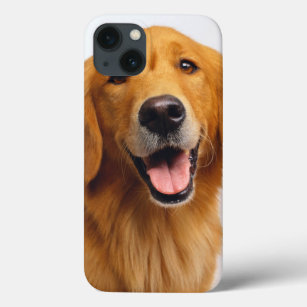 Golden Retriever Smile Case-Mate iPhone Case