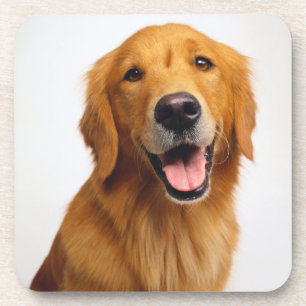 Golden Retriever Smile Coaster