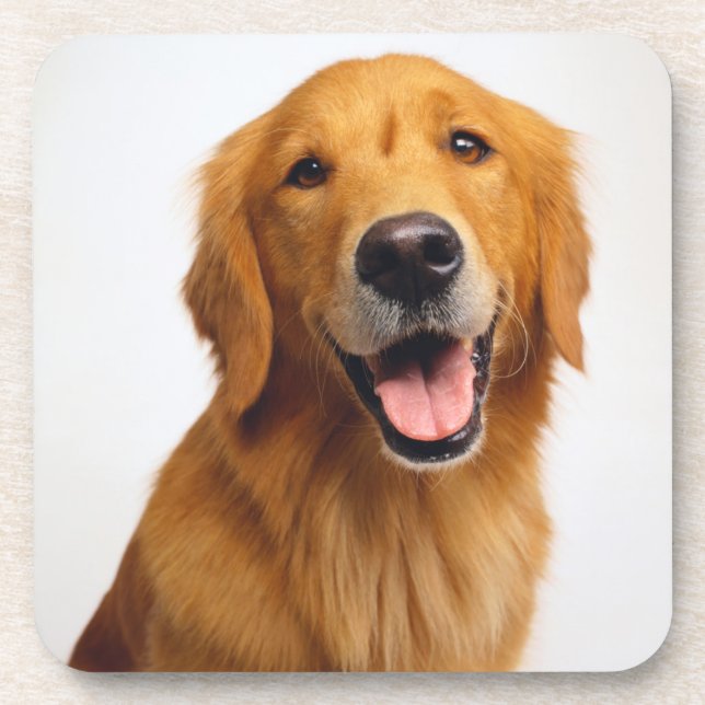 Golden Retriever Smile Coaster (Front)