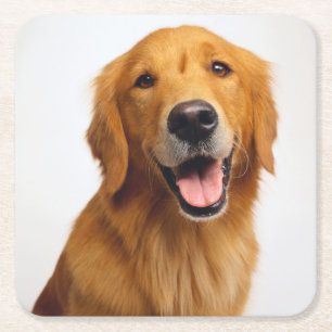 Golden Retriever Smile Square Paper Coaster