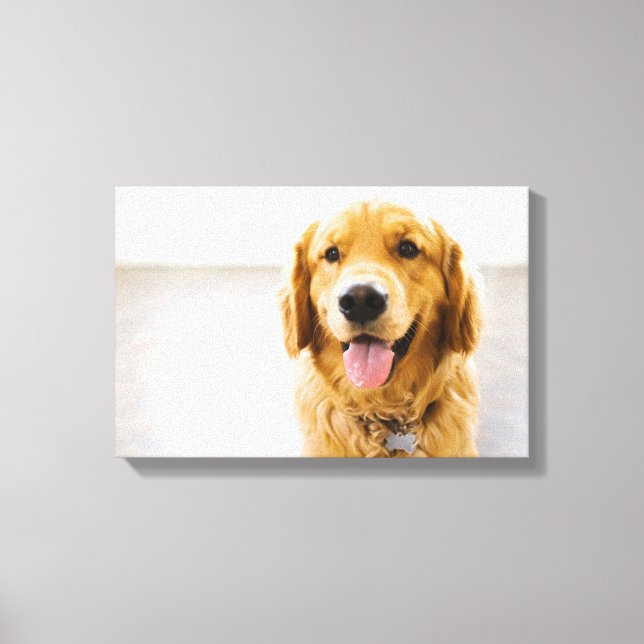 Golden Retriever Smiling Canvas Print (Front)