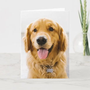 Golden Retriever Smiling Card