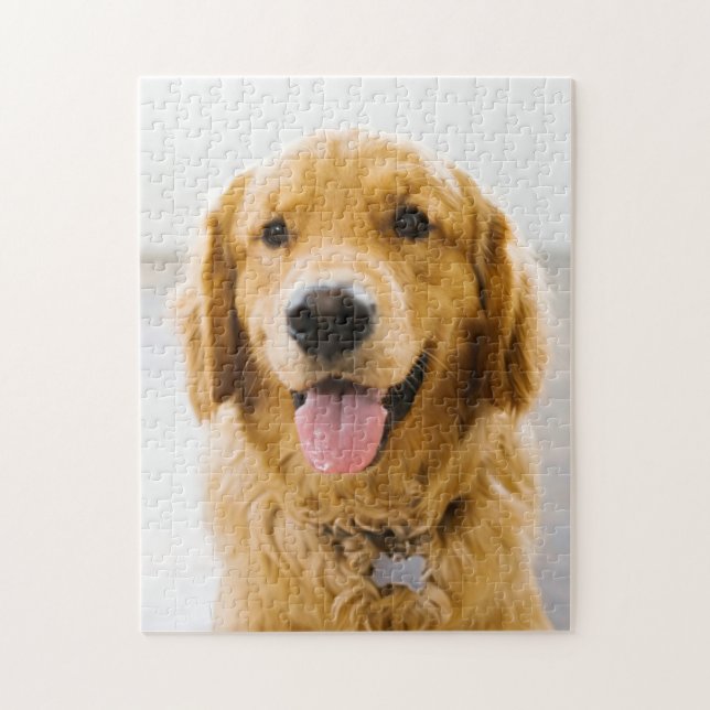 Golden Retriever Smiling Jigsaw Puzzle (Vertical)
