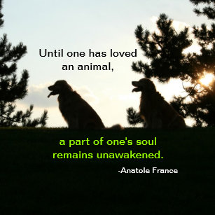 Download Anatole france animal quote Desktop Wallpaper