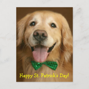 Golden Retriever St. Patrick's Day Postcard