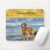Golden Retriever standing on the blue ocean rocky