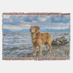 Golden Retriever standing on the blue ocean rocky Throw Blanket