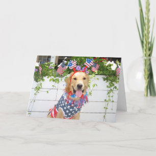 Golden Retriever Starry Fourth of July Holiday Card