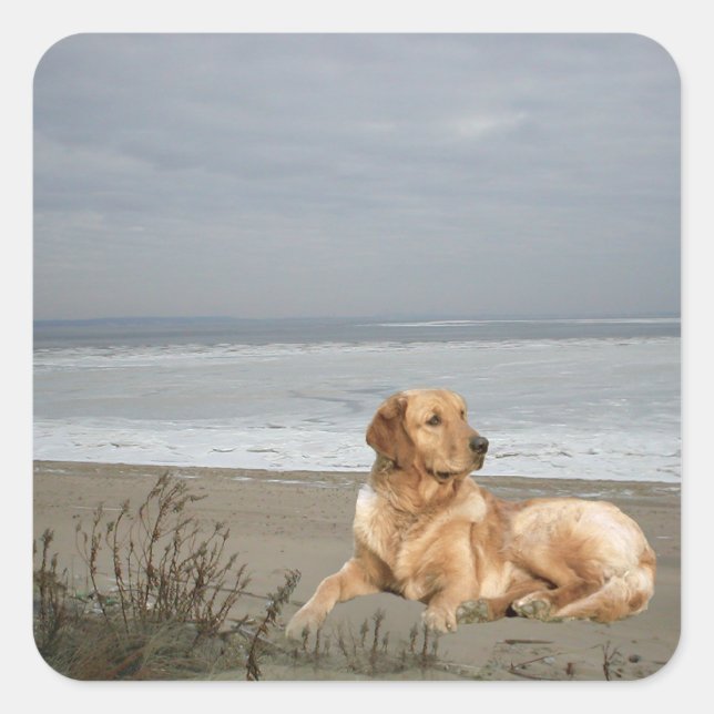 Golden Retriever Sticker (Front)