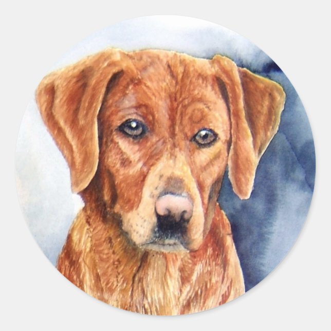 Golden Retriever Stickers (Front)