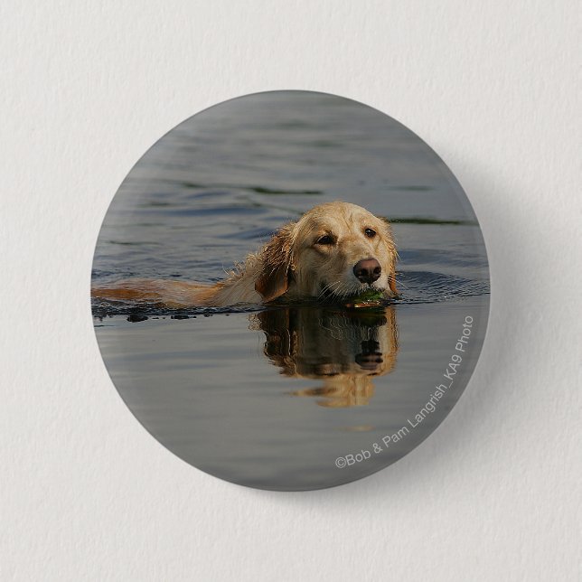 Golden Retriever Swimming 6 Cm Round Badge (Front)