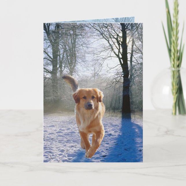 Golden Retriever sympathy card (Front)