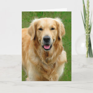 Golden Retriever Sympathy Card