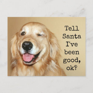 Golden Retriever Tell Santa Christmas Card