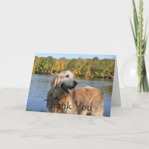 Golden Retriever Thank You At The Lake Card