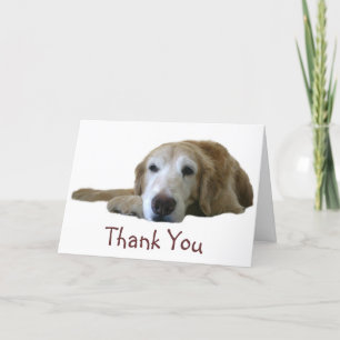 Golden Retriever Thank You Card