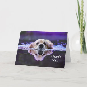 Golden Retriever Thank You Card
