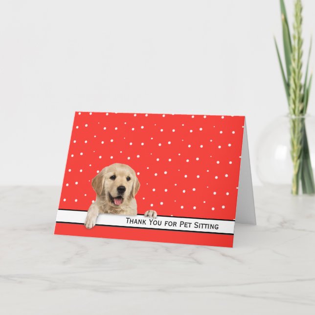 Golden Retriever Thank You for Pet Sitting (Front)