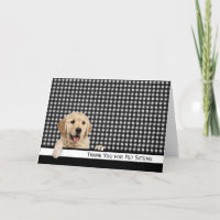 Golden Retriever Thank You for Pet Sitting