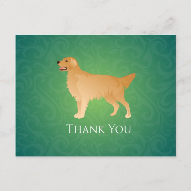 Golden Retriever Thank You Postcard (Front)