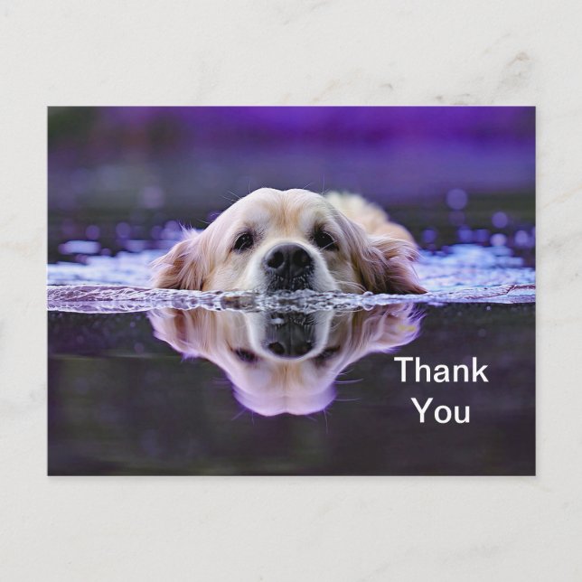 Golden Retriever Thank You Postcard (Front)