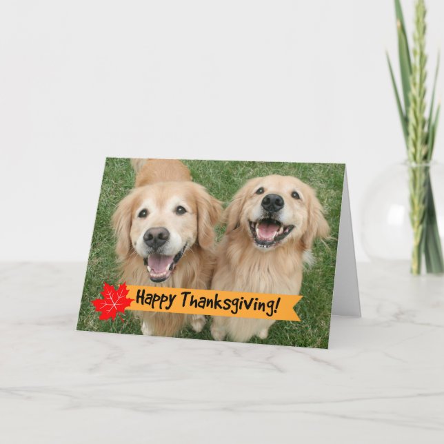 Golden Retriever Thanksgiving Day Wishes Holiday Card (Front)
